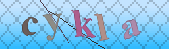 Error: Please enable images in your browser
