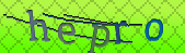 Error: Please enable images in your browser